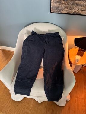 Everlane navy blue utility barrel pants